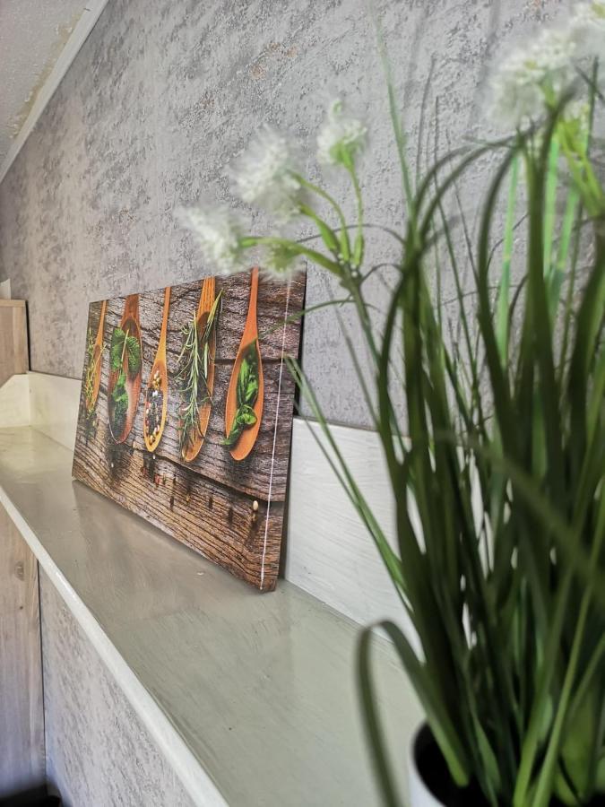 Cozy Flat, Central, Easy Parking, Clam Apartment Bayreuth Ngoại thất bức ảnh